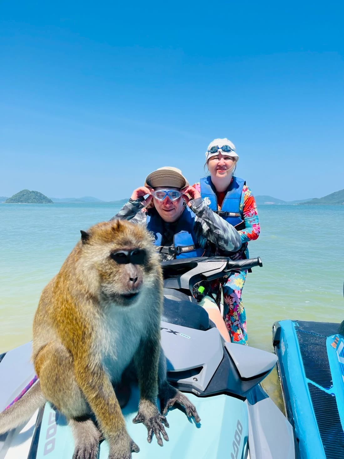 Riders laughing as a monkey sits on their jet ski